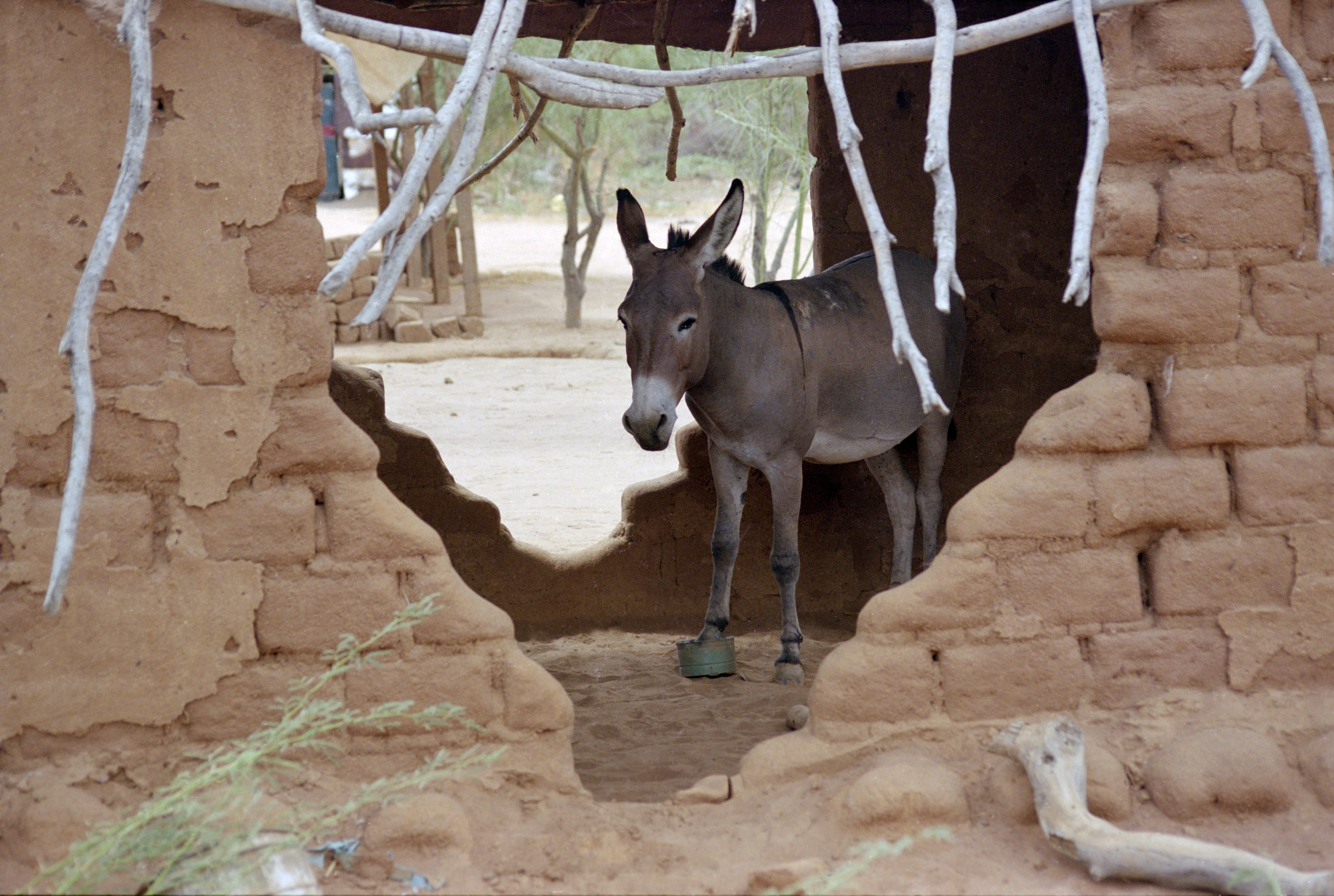 Somali refugees Daadab Camp Kenya