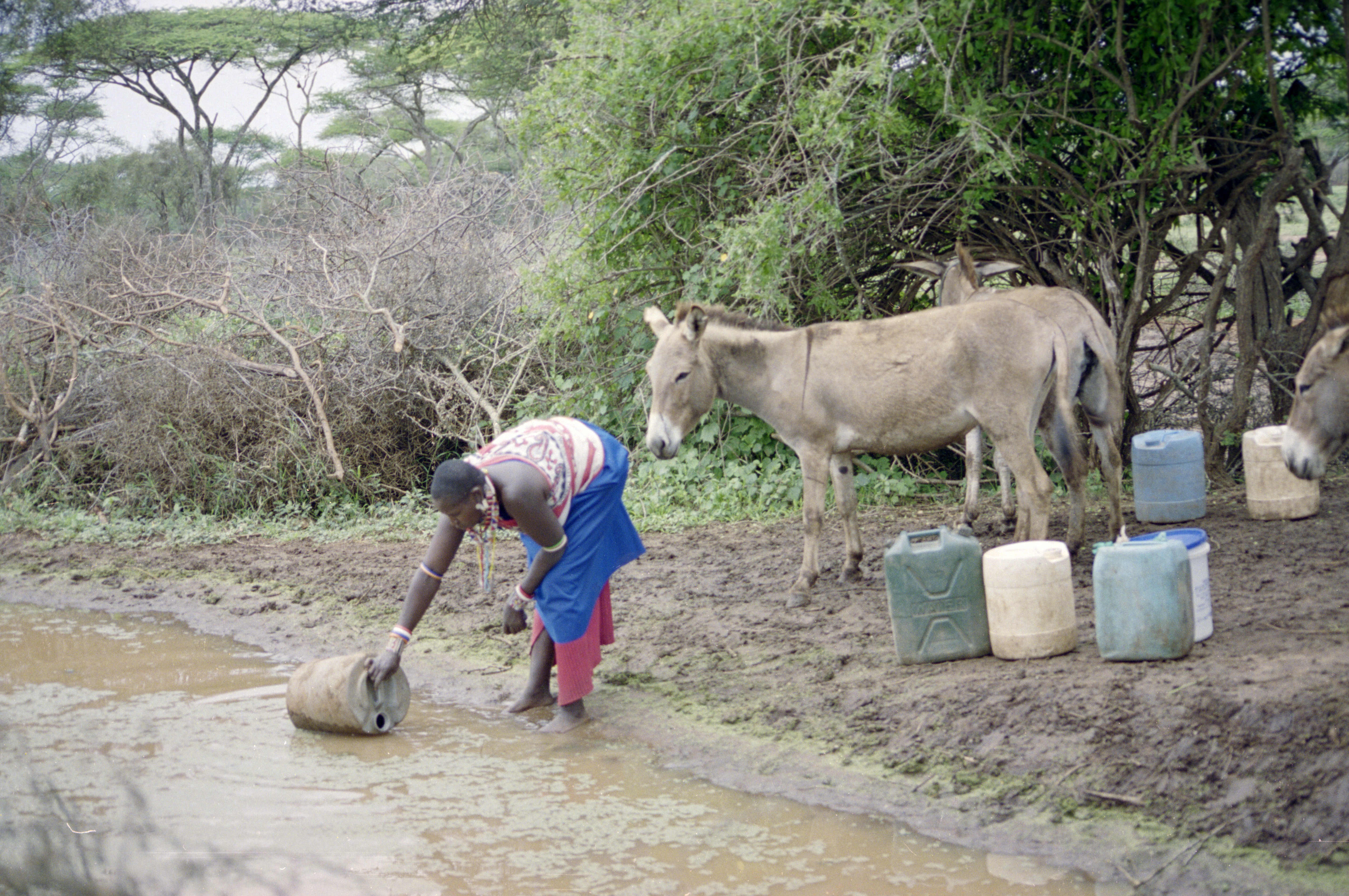 Maasai Community